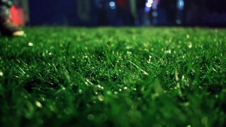 Green Grass Field