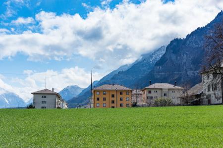 Green Grass Field Across Houses