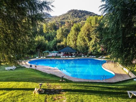 Green Grass Field Beside Swimming Pool during Daytime