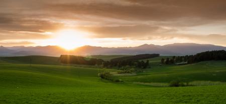 Green Grass Field during Sunset