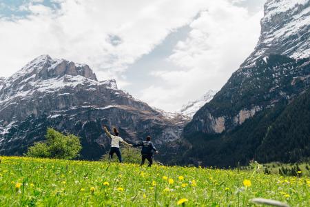 Green Grass Near Mountain