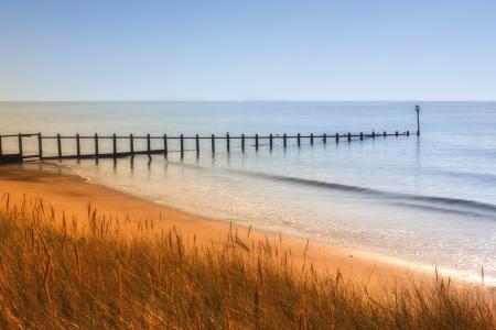 Green Grass Near Shoreline Beside Sea Under Blue Sky