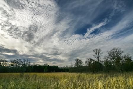 Green Grass Under Blue and White Sky at Daytime
