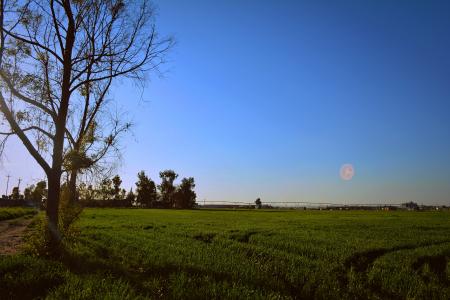 Green Grassland Under Blue Sky