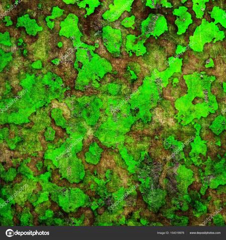 Green Grunge Moss