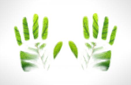 Green handprints