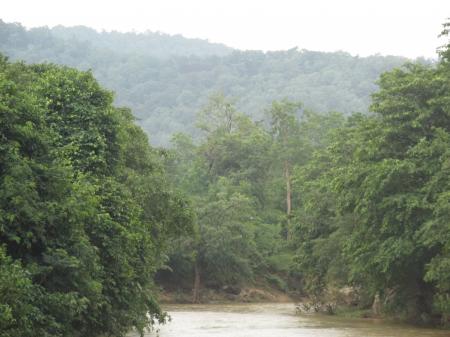 Green Hill Pic from Bastar