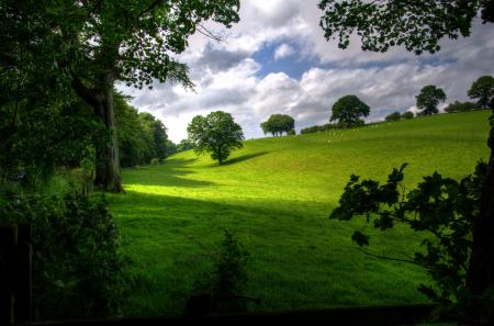Green Hill With Tree Under White Clouds and Blue Sky during Daytime