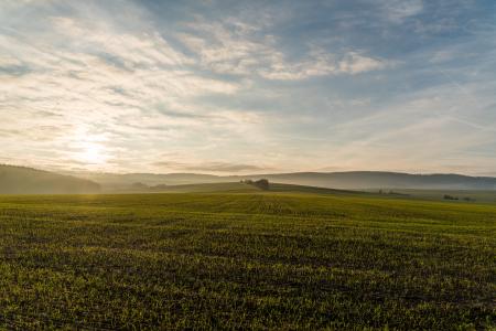 Green Land