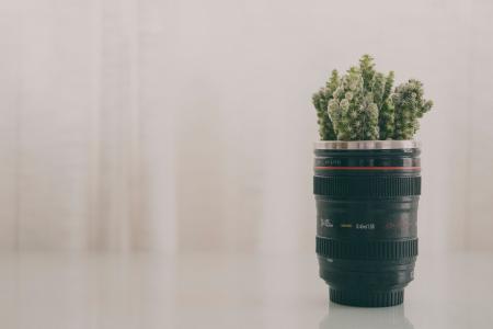 Green Leaf Plant in Black Camera Zoom Lens Plant Pot Screenshot