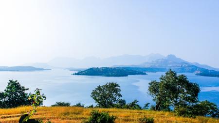 Green Leaf Plant in Front of Mountain Surrounded of Body of Water