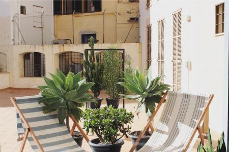 Green Leaf Plants Beside Pool Lounger Chairs