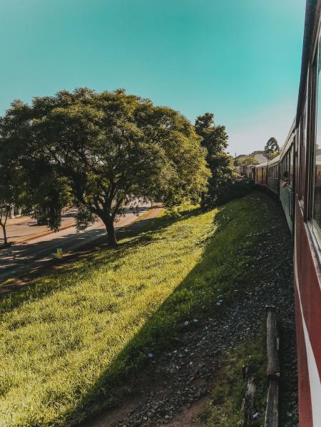 Green Leaf Tree Near Red Train at Daytime