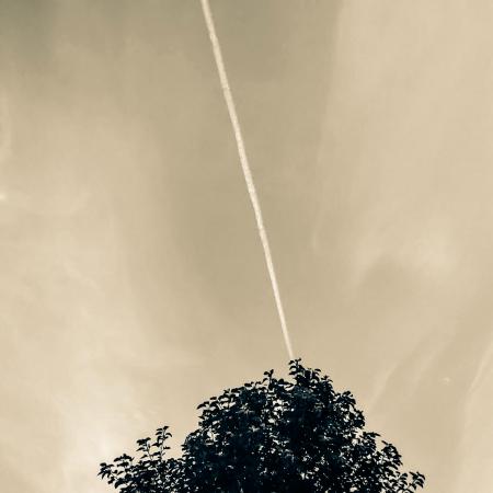 Green Leaf Tree Under Cloudy Sky