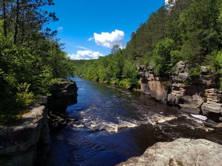 Green Leaf Trees Along River Under White Clouds and Blue Sky