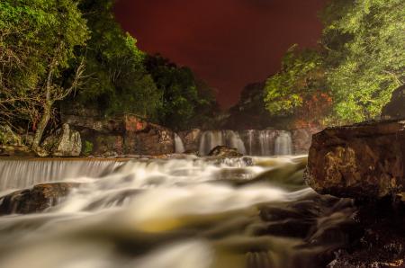 Green Leaf Trees Near the Flowing Water Fall