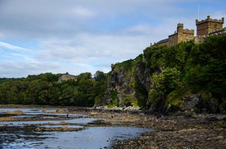 Green Leaved on Mountain With Castle