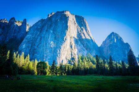 Green Leaved Trees Near Mountains