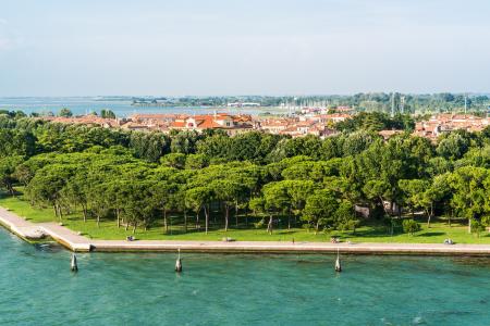 Green Leaves Trees on Green Grass Field in Front of Body of Water over White Sky during Daytime