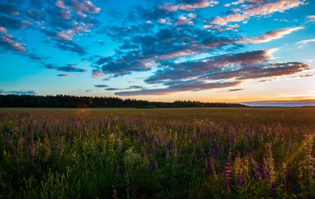 Green Meadows Near Mountain Under Calm Sky