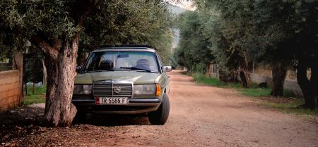 Green Mercedes Benz W123 Parked Near Tree