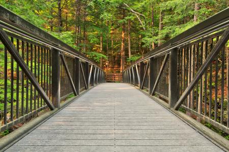 Green Mountain Forest Bridge - HDR