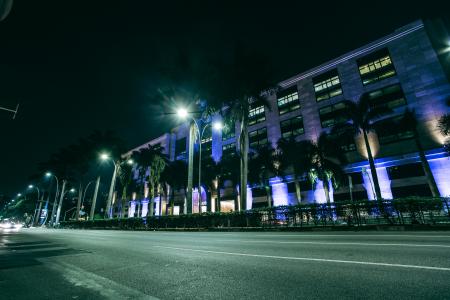 Green Palm Trees on Side Walk Near Gray Building at Nighttime