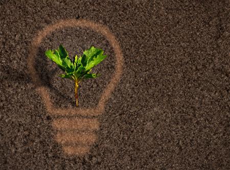 Green plant sprout growing within a lightbulb silhouette on soil