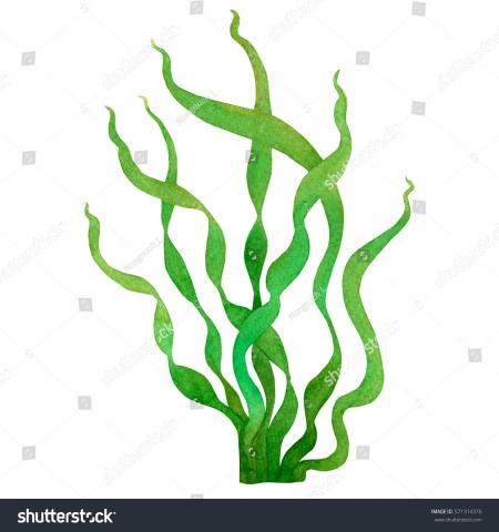 Green Seaweed Background