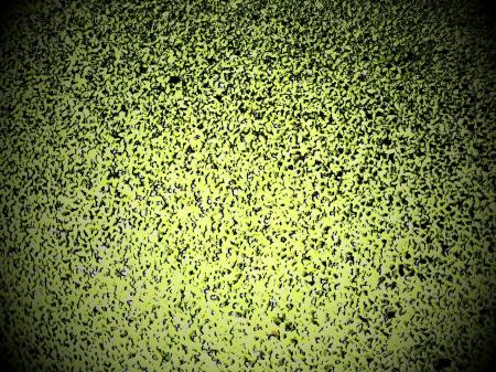 Green Speckled Vignette Background