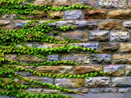 Green stone wall