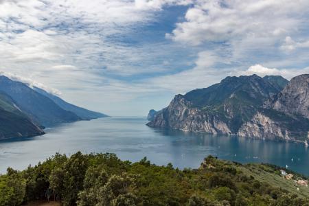 Green Trees Near Large Body of Water Across Mountains during Daytime