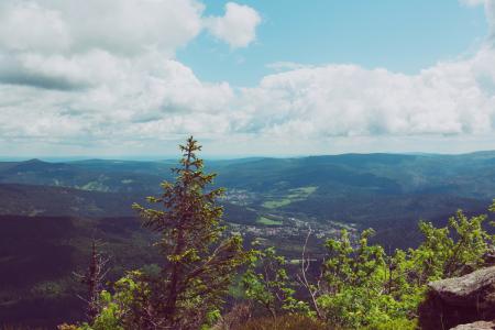 Green Trees Near Mountain Under White and Blue Sky