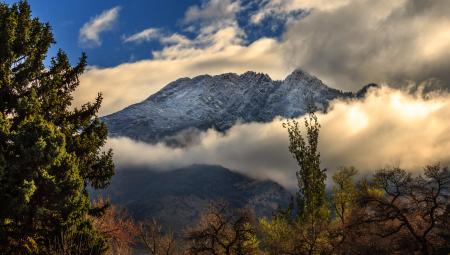 Green Trees Near Mountain Under White Clouds during Noontime