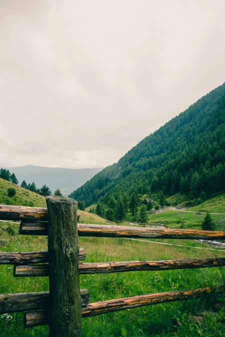 Green Trees on Mountain Under White Sky during Daytime