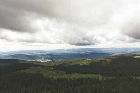 Green Trees on Mountain