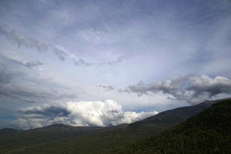 Green Trees on the Mountain during Daytime