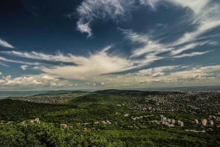 Green Trees over the White Clouds and Blue Sky