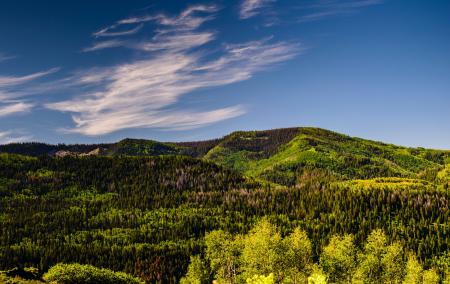 Green Tress and Mountain Under Blue Sky