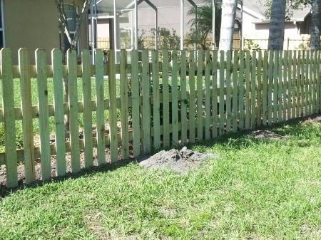 Green Wooden Fence