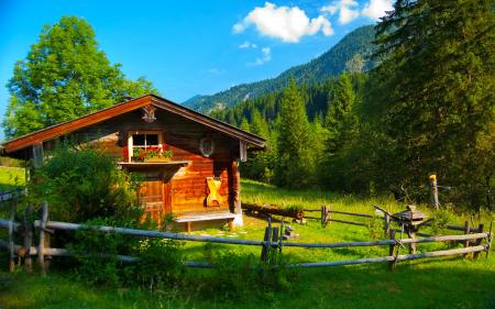 Greenery in Germany