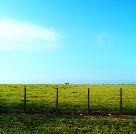 Greenfield Behind Blue Sky