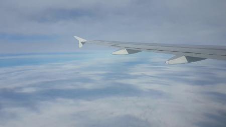 Grey Airplane Window