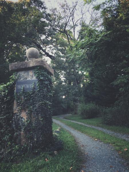 Grey Concrete Gate Beside Green Leaf Trees at Daytime