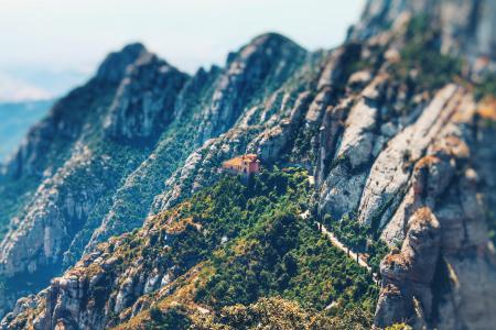 Grey Rocky Mountain With Trees