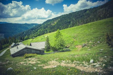 Grey Shed Surrounded by Green Grass during Daytime