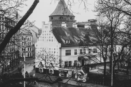 Greyscale Photo of White Painted Building Distance With Bare Trees