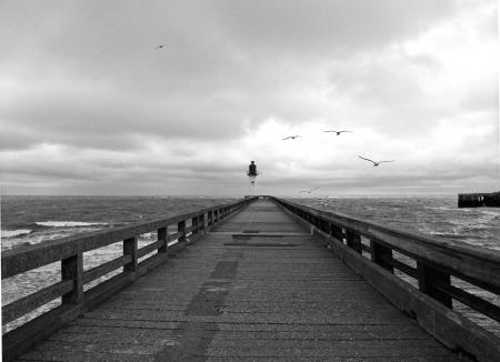 Greyscale Photography of Birds Flying Above Dockway