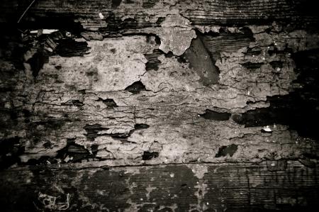 Grunge Cracked Paint