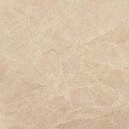 Grunge Paper Texture